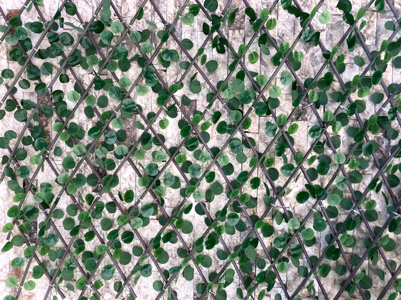 گرین وال آکاردئونی دو رو